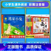 [注音版]逃家小兔+四大名著 [正版]精装硬壳逃家小兔绘本注音版国际获奖儿童绘本逃家小兔系列故事课幼儿园阅读0-2-4岁