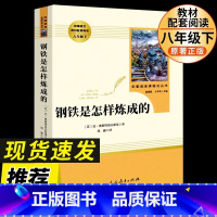 [八下人教版]钢铁是怎样炼成的 [正版]八年级上册下册课外书 人教版全套红星照耀中国昆虫记钢铁是怎样炼成的经典常谈原著完