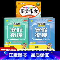 [二年级江苏版3本]语文+数学寒假衔接+同步作文 小学通用 [正版]2024新实验班寒假衔接一年级二年级四五六三年级上册