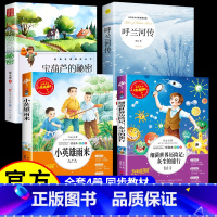 [4册]小学生课外阅读全4册 [正版]宝葫芦的秘密 张天翼原著三四年级必读课外书老师阅读书籍小学生宝葫芦里的故事小学语文