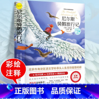 尼尔斯骑鹅旅行记 [正版]绿山墙的安妮原著全集蒙哥马利原著小学生三四五六年级阅读必读课外书上下册青少年儿童文学经典书籍绿