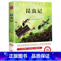 昆虫记 [正版]绿山墙的安妮原著全集蒙哥马利原著小学生三四五六年级阅读必读课外书上下册青少年儿童文学经典书籍绿野仙踪世界