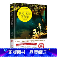 汤姆索亚历险记 [正版]爱丽丝漫游奇境记书 爱丽丝梦游仙境书六年级下册必读书目 小学生课外书奇镜彩绘原版原著阅读书籍五年