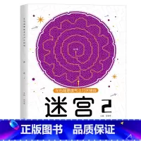 迷宫2(适合6岁+) [正版]左右脑思维专注力迷宫大挑战幼儿园高难度迷宫魔线小学生益智游戏3-6-7-8-10岁儿童走迷