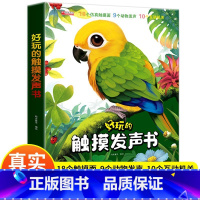 好玩的触摸发声书[主图款] [正版]好玩的触摸发声书手指点读触摸翻翻书0-3岁宝宝学说话启蒙认知撕不烂机关书宝宝的第书一