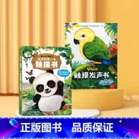 触摸有声书+宝宝第一本触摸书 [正版]好玩的触摸发声书手指点读触摸翻翻书0-3岁宝宝学说话启蒙认知撕不烂机关书宝宝的第书