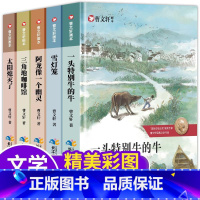 曹文轩画本(全套5册) [正版]狼王梦沈石溪动物小说画本全套5册小学生课外阅读书籍漫画版故事书三四五六年级的课外书儿童文