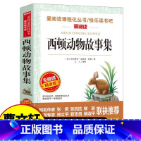 西顿动物故事集(单本) [正版]狼王梦沈石溪动物小说画本全套5册小学生课外阅读书籍漫画版故事书三四五六年级的课外书儿童文