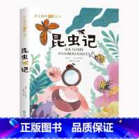 昆虫记[单册] [正版]歇后语谚语大全注音版小学生一年级二年级三年级课外阅读书籍6-7-8-10-12岁儿童国学经典