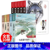 曹文轩画本+沈石溪画本[全10册] [正版]狼王梦沈石溪动物小说画本全套5册小学生课外阅读书籍漫画版故事书三四五六年级的