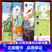 [全8册]暑假百班千人推荐 四年级 [正版]2023百班千人四年级暑假4小学生课外阅读儿童文学必读雨燕飞越中轴线总有一天