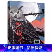 黑夜之王 [正版]2023百班千人四年级暑假4小学生课外阅读儿童文学必读雨燕飞越中轴线总有一天会强大陈土豆的红灯笼我是一