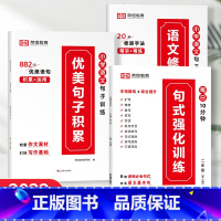 [全3册]二年级句式强化训练+优美句子+修辞手法 小学通用 [正版]小学语文优美句子积累大全修辞手法打卡计划手册句式训练