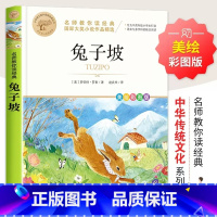 兔子披 [正版]兔子坡彩图美绘版一年级二年级必读课外书非注音版名师教你读经典小学生课外书语文阅读读本读物小学儿童书籍 罗