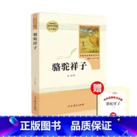 [七年级下册]骆驼祥子 [正版]海底两万里骆驼祥子人教版七年级下册课外阅读书人民教育出版社朝花夕拾鲁迅西游记老师初一上册