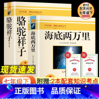 [七年级上册]湘行散记 [正版]海底两万里骆驼祥子人教版七年级下册课外阅读书人民教育出版社朝花夕拾鲁迅西游记老师初一上册
