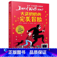 大盗奶奶的完美冒险 [正版]2023百班千人三年级暑期书目遥远的信号外婆变成了麻猫了不起的灰灰大盗奶奶的完美冒险感动星孤