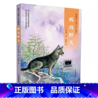 孤岛野犬 [正版]2023百班千人三年级暑期书目遥远的信号外婆变成了麻猫了不起的灰灰大盗奶奶的完美冒险感动星孤岛野犬贾里