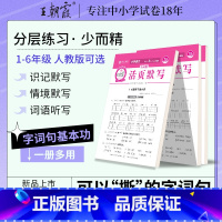 少而精·活页默写[人教版] 六年级上 [正版]2023新版上册活页默写本活页计算本单元练习期末冲刺一二三四五六年级单元期
