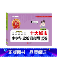 [十大城市]数学 小学通用 [正版]新版王朝霞五大十大十五大城市卷小学毕业检测指导试卷精选考试语文数学英语六年级小升初试