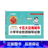 [十五大城市]英语 小学通用 [正版]新版王朝霞五大十大十五大城市卷小学毕业检测指导试卷精选考试语文数学英语六年级小升初