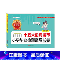 [十五大城市]语文 小学通用 [正版]新版王朝霞五大十大十五大城市卷小学毕业检测指导试卷精选考试语文数学英语六年级小升初