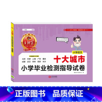 [十大城市]语文 小学通用 [正版]新版王朝霞五大十大十五大城市卷小学毕业检测指导试卷精选考试语文数学英语六年级小升初试
