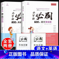 [共2本]语文基础题+英语综合题[赠答案详解] 小学升初中 [正版]2023年小升初必刷题人教版语文数学英语全套3本系统