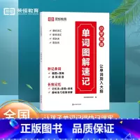 小学英语单词图解速记 小学通用 [正版]2023新版 小学英语单词图解速记大全视频讲解 优美句子小学生图解词汇句式训练三