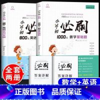 [共2本]数学基础题+英语综合题[赠答案详解] 小学升初中 [正版]2023年小升初必刷题人教版语文数学英语全套3本系统