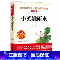 小英雄雨来 [正版]城南旧事 林海音原著完整版名著儿童文学三四五六年级中小学生课外书籍老师骆驼的样子小英雄雨来宝葫芦的秘