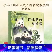 竹林里的大熊猫(精装绘本) [正版] 心灵成长科普绘本系列知了的一生儿童硬壳益智启蒙认知精装幼儿启蒙绘本3-6岁全套睡前