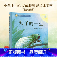 知了的一生(精装绘本) [正版] 心灵成长科普绘本系列知了的一生儿童硬壳益智启蒙认知精装幼儿启蒙绘本3-6岁全套睡前哄睡