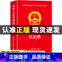 [正版]民法典2023年版注释本 中华人民共和国民法典理解与适用大全及相关司法解释汇编民法典婚姻法实用版一本通