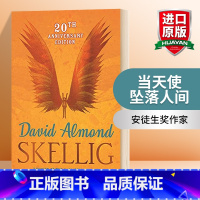 [正版]英文原版 Skellig 当天使坠落人间 20周年纪念版 英文版 安徒生奖作家 2000普林兹银奖 进口英语原版