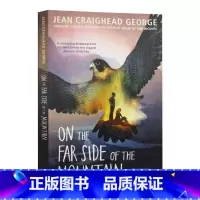 [正版]英文原版 On the Far Side of the Mountain 在山的另一边 青少年小说 英文版 进口