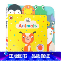 动物 [正版]老虎来喝下午茶 英文原版 The Tiger Who Came to Tea 大开绘本 儿童启蒙故事读物