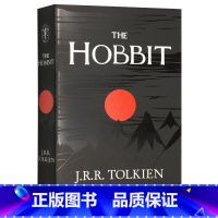 霍比特人 [正版]灿烂千阳 英文原版小说 A Thousand Splendid Suns 英文版进口书The Kite