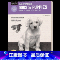如何绘画系列:狗 [正版]英文原版 Keys to Drawing 素描的诀窍 英文版 进口英语原版书籍