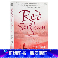 红高粱 . [正版]灿烂千阳 英文原版小说 A Thousand Splendid Suns 英文版进口书The Kit