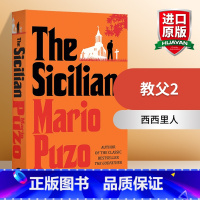 教父2 [正版]灿烂千阳 英文原版小说 A Thousand Splendid Suns 英文版进口书The Kite