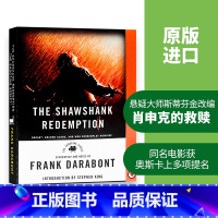 肖申克的救赎 [正版]灿烂千阳 英文原版小说 A Thousand Splendid Suns 英文版进口书The Ki