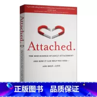 关系的重建 [正版]英文原版 Straight Talk No Chaser 直言不讳 如何找到 留住和理解男人 史蒂