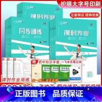 七年级[语数]人教+英(外研)3本套装 九年级下 [正版]2024一飞冲天八年级课时作业上册下册人教版外研版七年级九年级