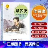 华罗庚 [正版]中华先锋人物故事汇11册钟南山生命的卫士终南山雷锋钱学森中国科学家袁隆平传 屠呦呦华罗庚陈景润中国女排航