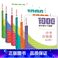 初中数学千题解 反比例与最值问题 初中通用 [正版]初中数学千题解 中考压轴题+一次函数与四边形+二次函数与函数+全等与