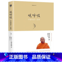 观呼吸(珍藏版) [正版] 生命之书系列 共7册 内观+观呼吸+八正道+你可以不生气+禅者的初心1+2+次第花开 佛教禅