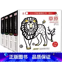 [正版]黑白版(呦呦童)/小小手触摸推拉书 呦呦童 著 其它儿童读物少儿 安徽科学技术出版社 BJKJ