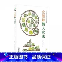 [正版]全图解懒人农法 绿手指园艺丛书 阳台菜园书蔬菜栽培技术蔬菜种植技术种植蔬菜的书种菜技术书空中菜园蔬菜种植书种菜书