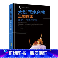 [正版]天然气水合物运聚体系 理论方法与实践 吴能友 天然气水合物勘探开发书籍 南海天然气水合物流体运移条件和水合物储集